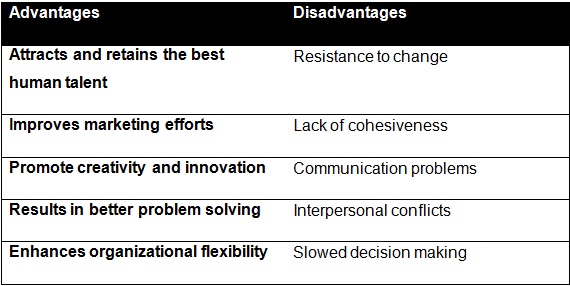 advantages and disadvantages of diverse team